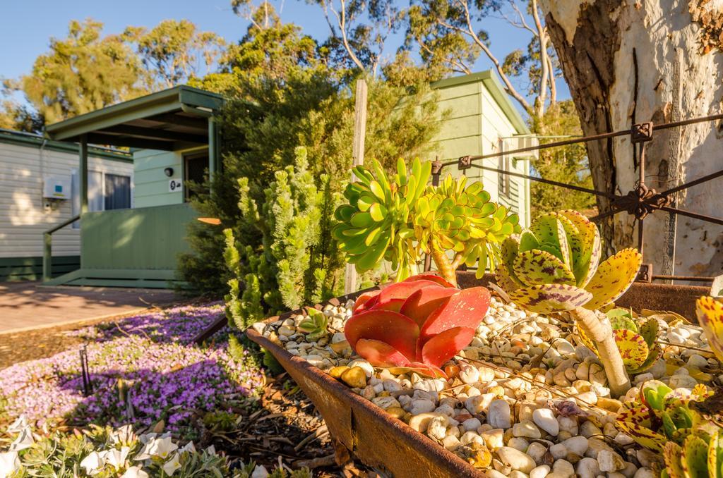 Lake Albert Caravan Park Hotell Meningie Exteriör bild